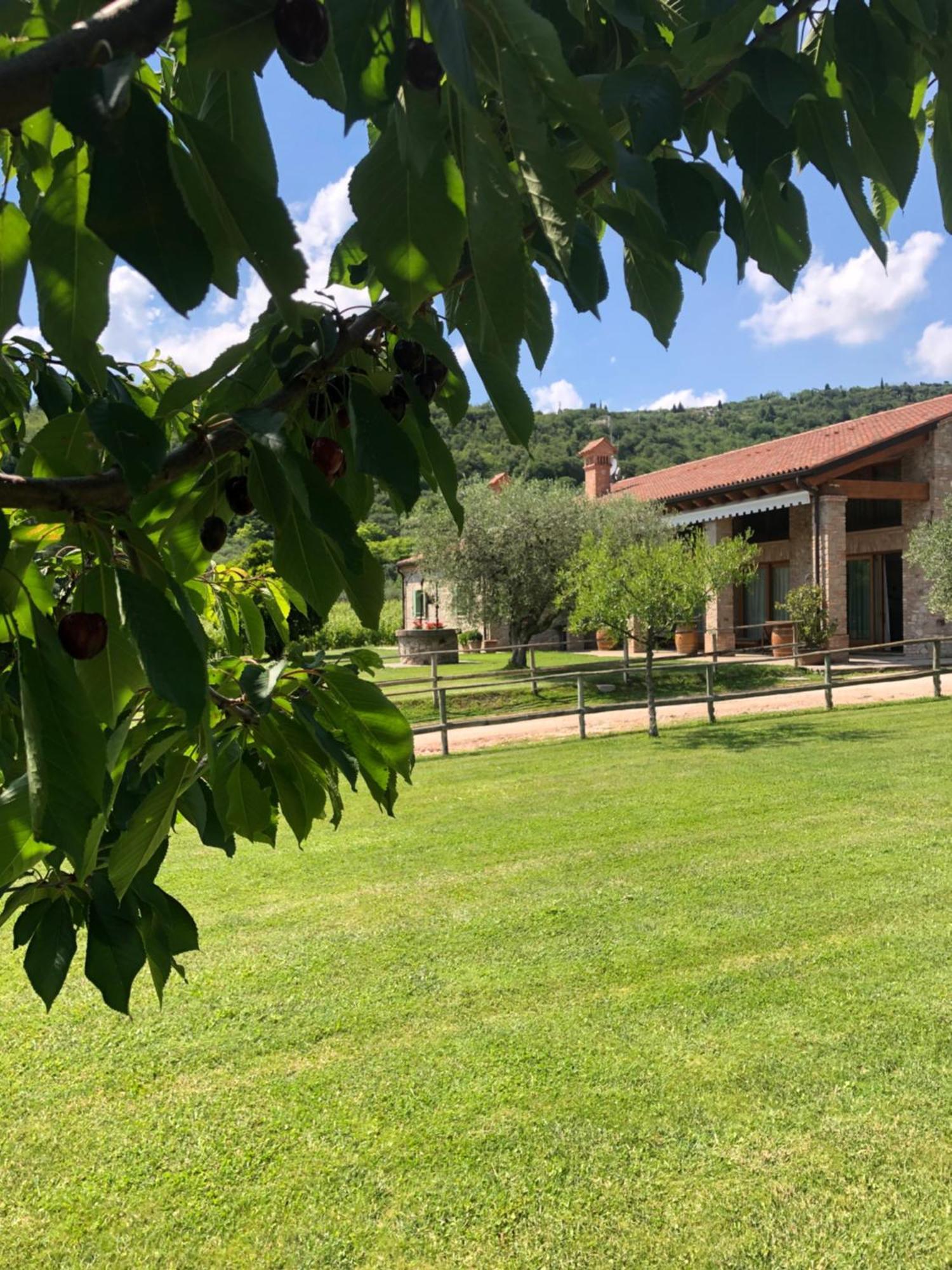 Alloggio Franciscus Arquà Petrarca Esterno foto